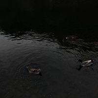 lsekai_05