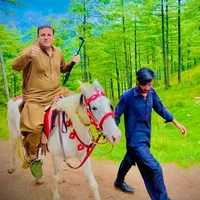 original sound - gigyanifoodvlogs