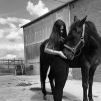 baileyloganequestrian
