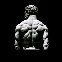 _minds7t