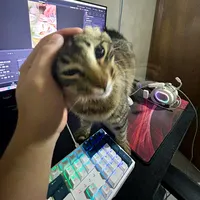 original sound - spotifyvibes14