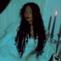 chasingthewhite.rabbit