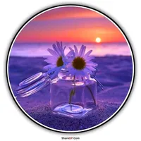 original sound - 1977yanet