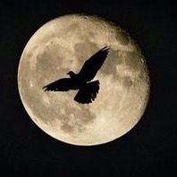 оригінальний звук