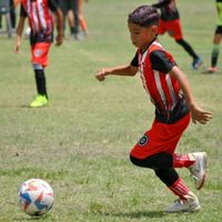 davidgarfides15