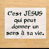 user959290sophiacreation