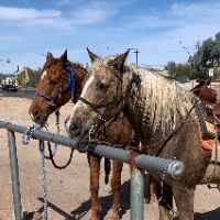 loneskyranch