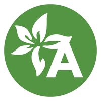 оригінальний аудіозапис