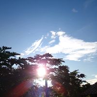 deuseocaminhooficial