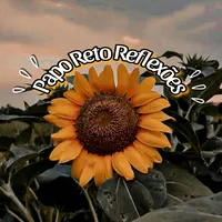 original sound - papo_reto_reflexoes