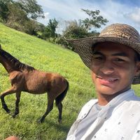 luis.florez902