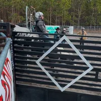 original sound - twistingbovine45