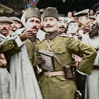 turkish_wolf3