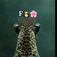 dagan.mahamed
