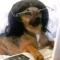 original sound - pedbjs