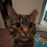 xenathedestroyerofworlds