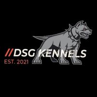 dsg_kennels
