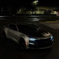 shark.1le