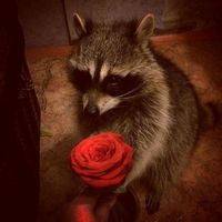 me cortas el cabello