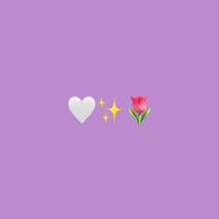 www.tiktok.a_f_n