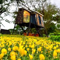 sonido original - paintball_y_cabanas