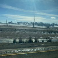 life_sucks_and_swallows