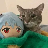 original sound - gatitosrandom