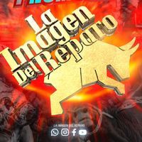 imagen_del_reparo