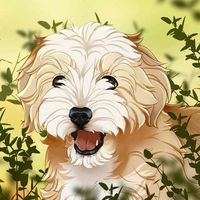 nene_pinscher_instadog