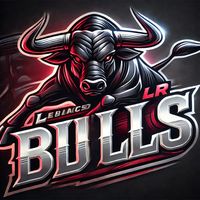 cia_de_rodeio_lr_bulls