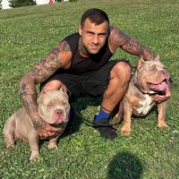 оригинальный звук