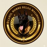 kakarottoadestramentos