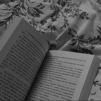 luciebooks_