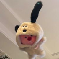 pr_0.1.8p