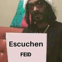 lslf.07