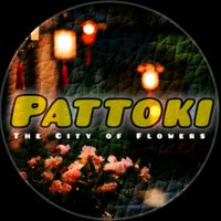 city.pattoki233