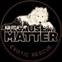 becausewematter