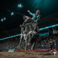 brahmer.tamer