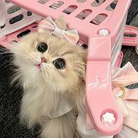 petlover1092
