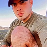 r_alfi1153