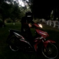 artemforte.125
