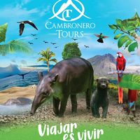 cambronero.tours