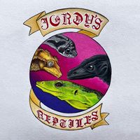 jordysreptiles