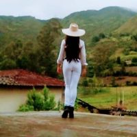 nicollvargaschavez