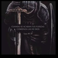 imdustria_leonardo