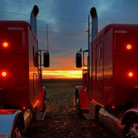 that_minnesota_donkey