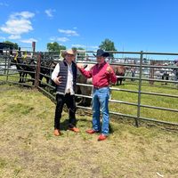 ganaderia_rafael_siguenc