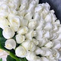 greeting.to.all