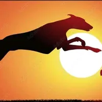 original sound - raulvega3379