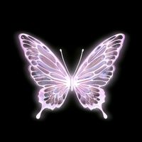 butterfly_edits_4